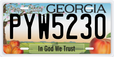 GA license plate PYW5230
