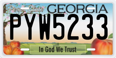 GA license plate PYW5233
