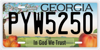 GA license plate PYW5250