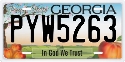 GA license plate PYW5263