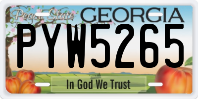 GA license plate PYW5265