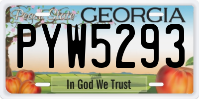 GA license plate PYW5293