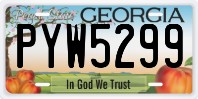 GA license plate PYW5299