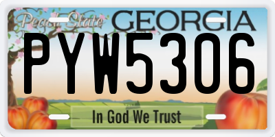 GA license plate PYW5306