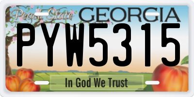 GA license plate PYW5315