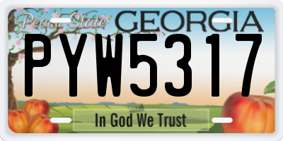GA license plate PYW5317