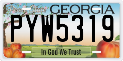GA license plate PYW5319