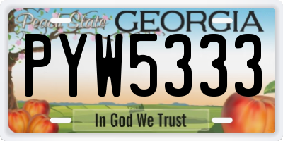 GA license plate PYW5333