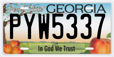 GA license plate PYW5337