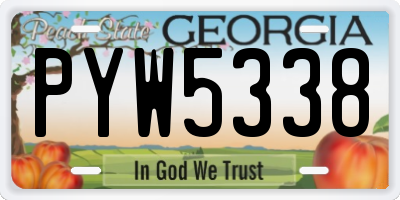GA license plate PYW5338