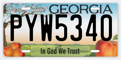 GA license plate PYW5340