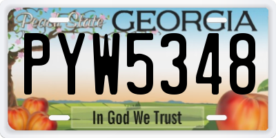 GA license plate PYW5348