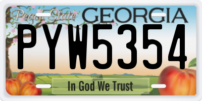 GA license plate PYW5354