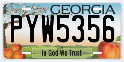 GA license plate PYW5356