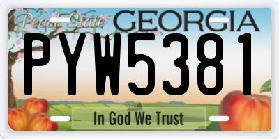 GA license plate PYW5381
