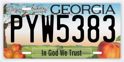 GA license plate PYW5383