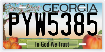 GA license plate PYW5385
