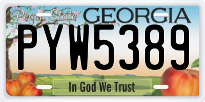 GA license plate PYW5389