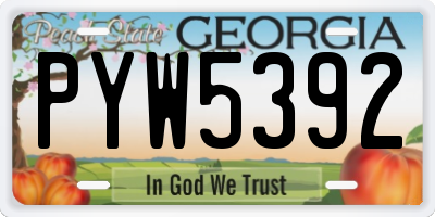 GA license plate PYW5392