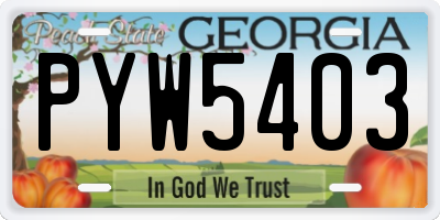 GA license plate PYW5403