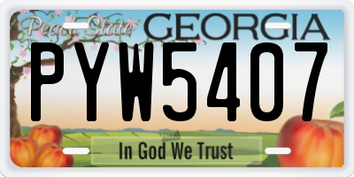 GA license plate PYW5407