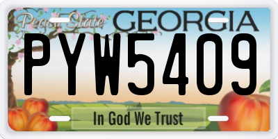 GA license plate PYW5409
