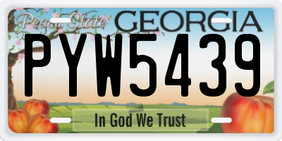 GA license plate PYW5439