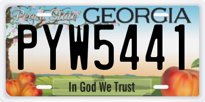 GA license plate PYW5441