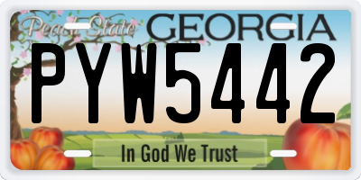 GA license plate PYW5442