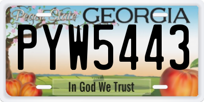 GA license plate PYW5443