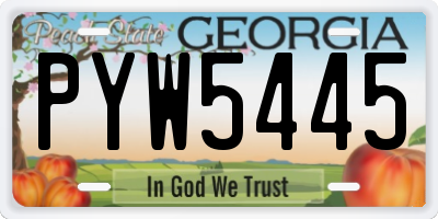 GA license plate PYW5445