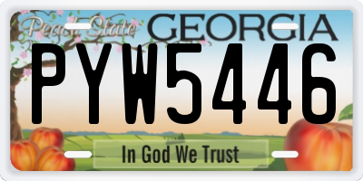 GA license plate PYW5446
