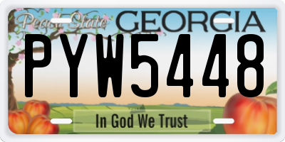 GA license plate PYW5448