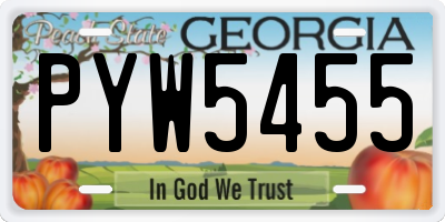 GA license plate PYW5455