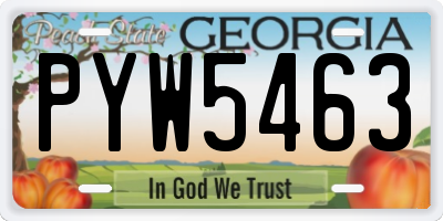 GA license plate PYW5463