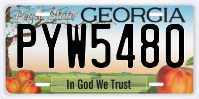 GA license plate PYW5480