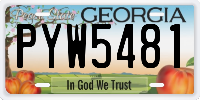 GA license plate PYW5481