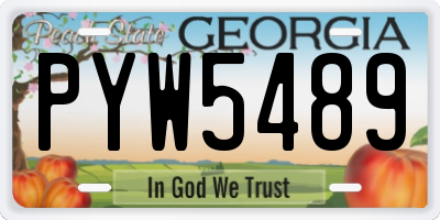GA license plate PYW5489