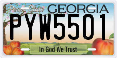 GA license plate PYW5501