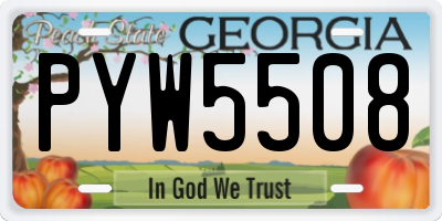 GA license plate PYW5508
