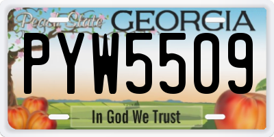 GA license plate PYW5509