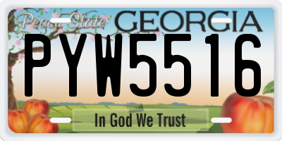 GA license plate PYW5516