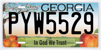 GA license plate PYW5529