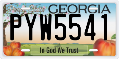 GA license plate PYW5541