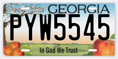 GA license plate PYW5545
