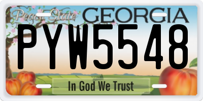 GA license plate PYW5548