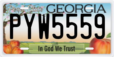 GA license plate PYW5559