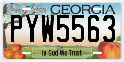 GA license plate PYW5563