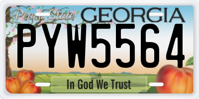 GA license plate PYW5564