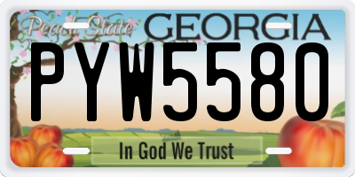 GA license plate PYW5580